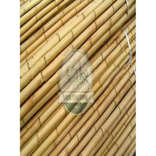 POLYBOTUM Doğal Kamış Hasır Çit 2 m X 5m Doğal Bahçe Çiti - Gölgelik Hasır - 2