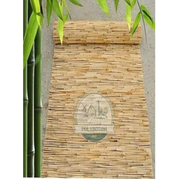 POLYBOTUM Doğal Kamış Hasır Çit 2 m X 5m Doğal Bahçe Çiti - Gölgelik Hasır - 3