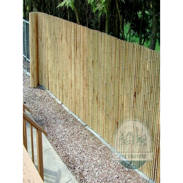 POLYBOTUM Doğal Kamış Hasır Çit 3 m X 5m Doğal Bahçe Çiti - Gölgelik Hasır - 3