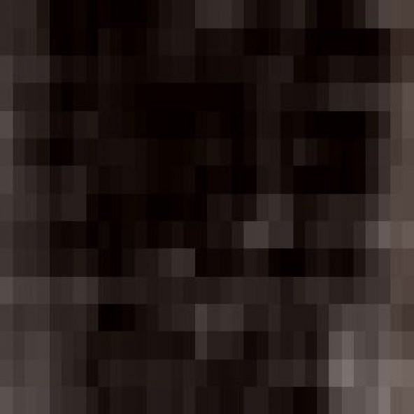 Derwent Artists Kuru Boya Kalemi 6600 Chocolate