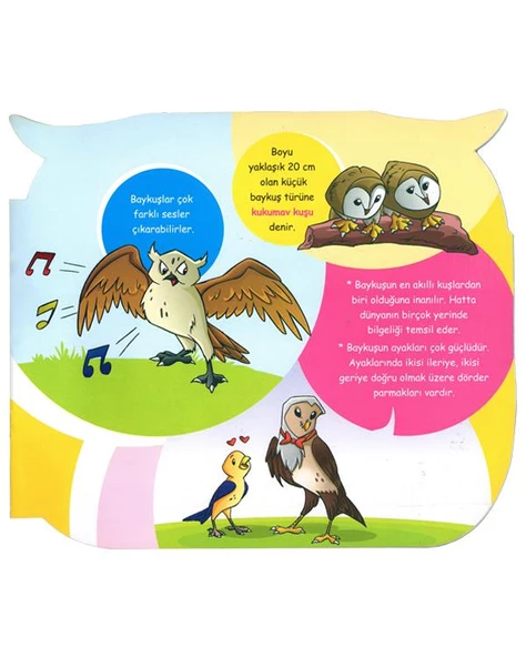 Hayvanlar Aleminin En Bilgesi Baykuş Yuva Yayınları - 2