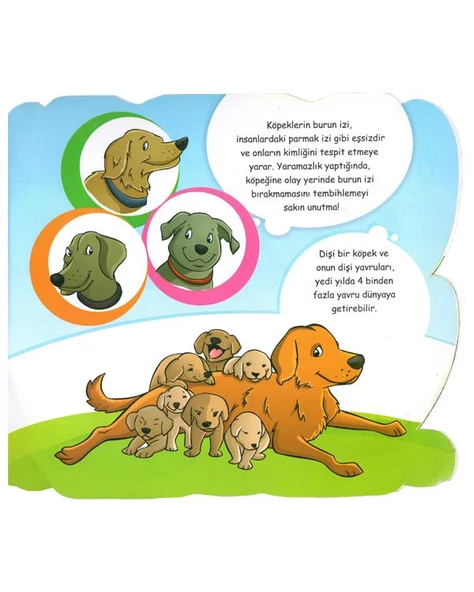 Hayvanlar Aleminin En Sadığı Köpek Yuva Yayınları - 2