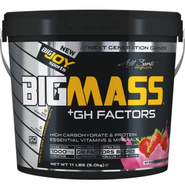 Bigjoy Sports Big Mass 5000 G 50 Saşe Çikolata - 2