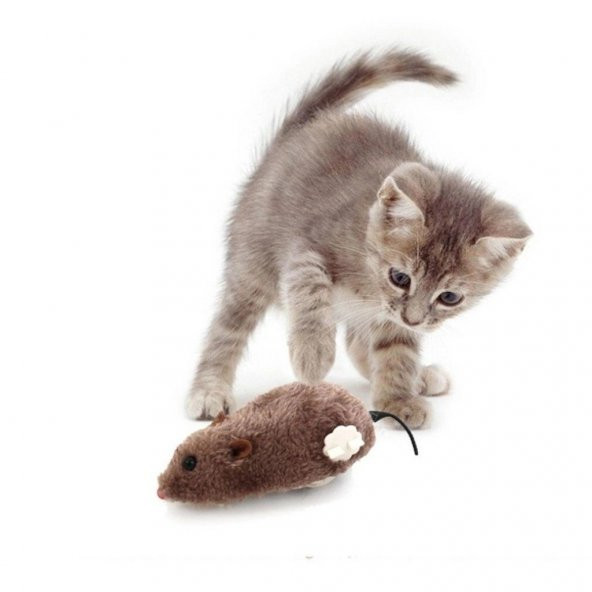 Kedi Oyuncağı Kurmalı Fare Pelüş Oyuncak 14 cm - 2
