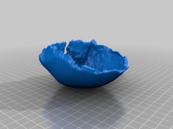 Frontal Kemik Anatomik Modeli Plastik Aparat - 2