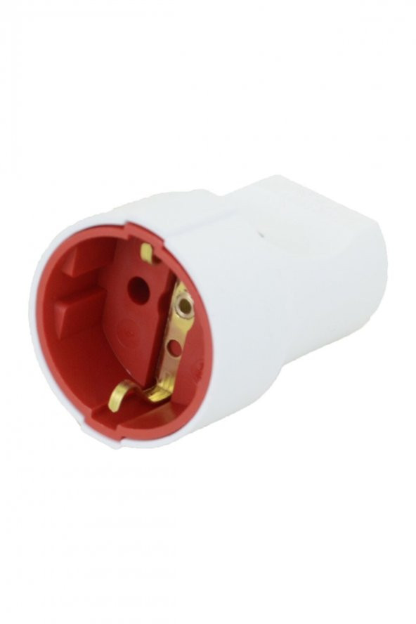 Ay Ka Topraklı Dişi Fiş