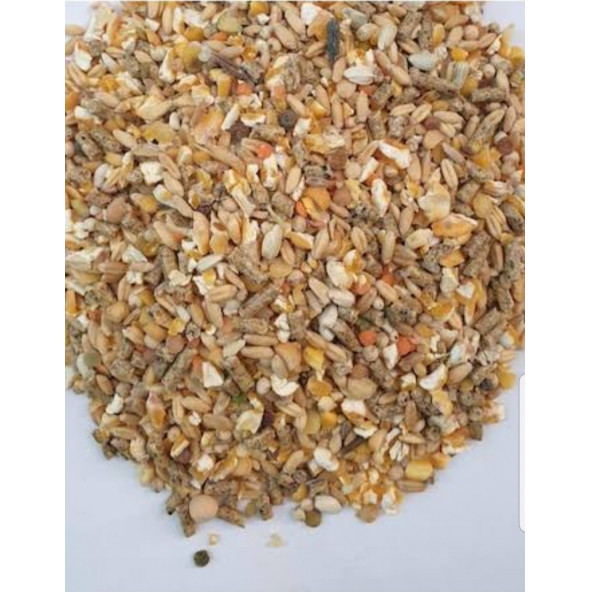 Tavuk yemi 10 kg