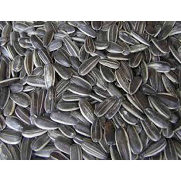 CANLAR Çekirdek 1kg