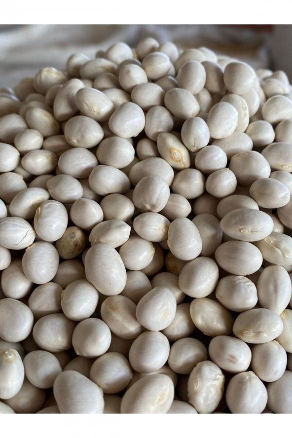 Erzincan Yöresel Erzincan Şeker Fasulyesi 5kg - 2