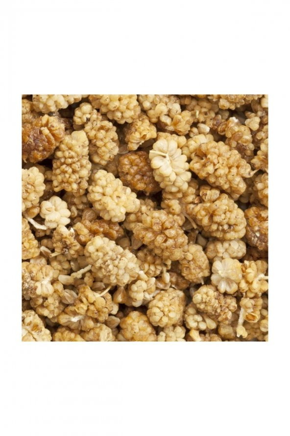 CANLAR Erzincan Dut Kurusu 1 kg - 2