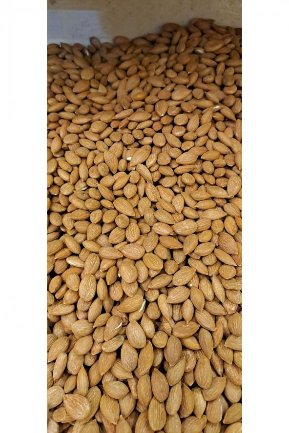 Kayısı Çekirdeği 1kg