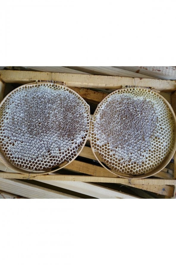 CANLAR Karakovan Bal 2,5 kg