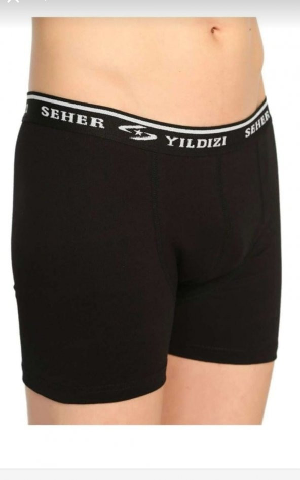 0060 SEHER YILDIZI ERKEK LİKRALI 6 LI BOXER