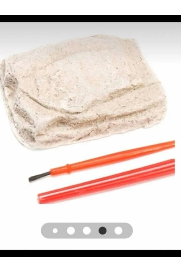 Özcan Tasarım Arkeoloji Kazı Oyuncağı - Dinazor Kazı Oyuncağı - Arkeoloji Oyuncağı - Resim 2