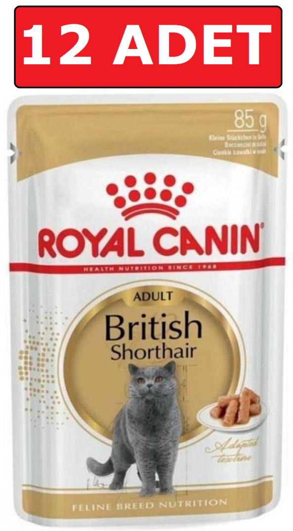 Royal canın british shorthair kedi konservesi pouch 85 gr 12 adet yaş mama