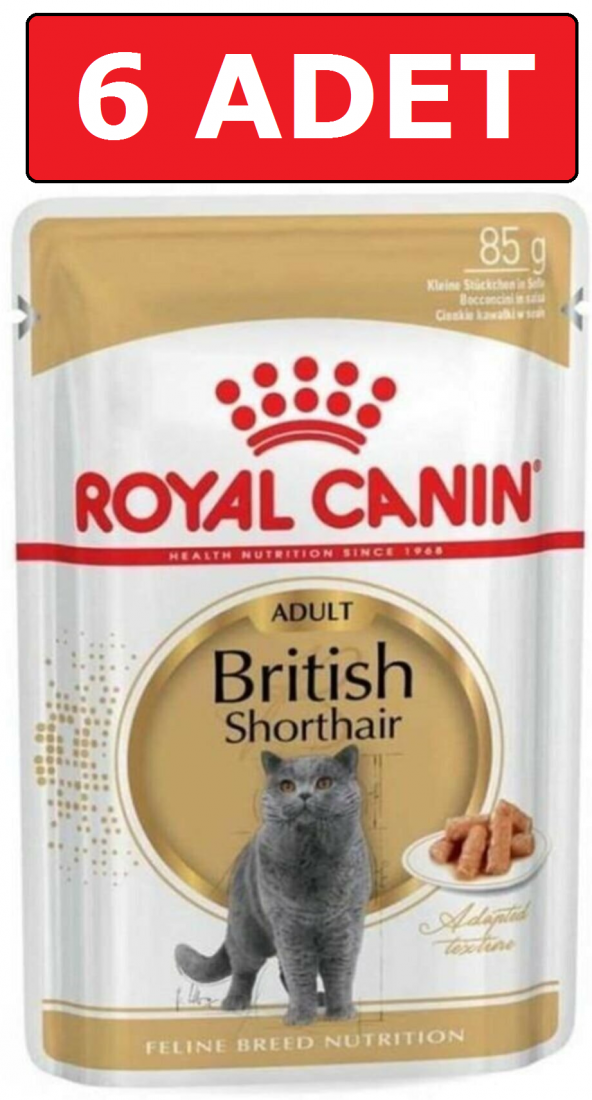 Royal canın british shorthair kedi konservesi pouch 85 gr 6 adet yaş mama