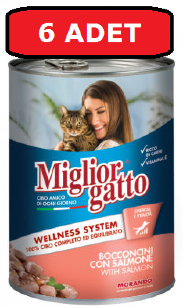 Miglior gatto somonlu kedi maması 6 adet x 400 gr konserve yaş mama ürün görseli 1