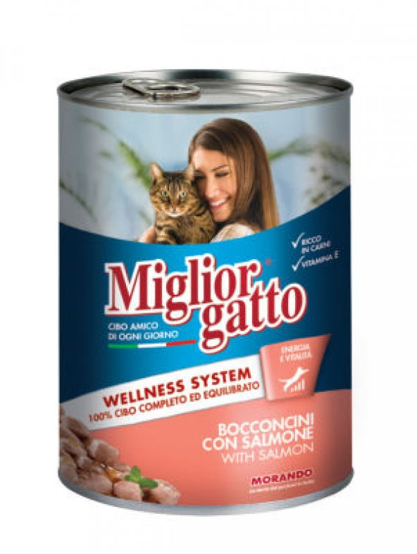 Miglior gatto somonlu kedi maması 6 adet x 400 gr konserve yaş mama - Resim 2