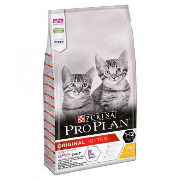 Proplan kitten kedi 1,5kg chicken tavuklu junior yavru kedi maması