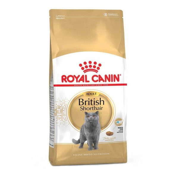 Royal canin british shorthair adult 2kg kedi maması yetişkin kedi