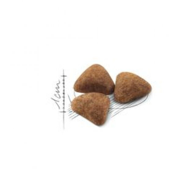 Royal canin indoor adult 2 kg kuru kedi maması - 2