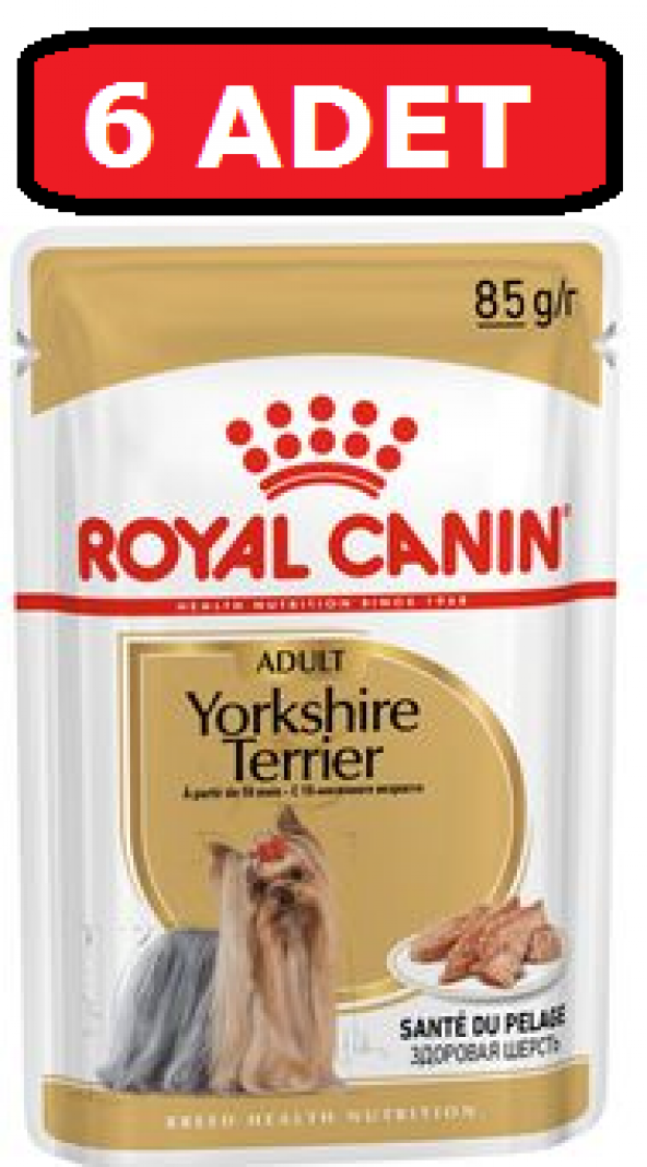 Royal canın yorkshire terrier yaş köpek maması 6 adet x 85 gr pounç