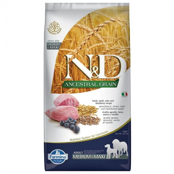 ND ancestral graın düşük tahıllı 12kg medium maxi adult kuzu etli yaban mersini köpek maması