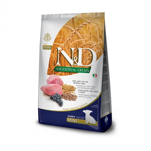 ND ancestral graın 7kg mini puppy köpek düşük tahıllı kuzu etli yaban mersini küçük ırk köpek maması ürün görseli 1
