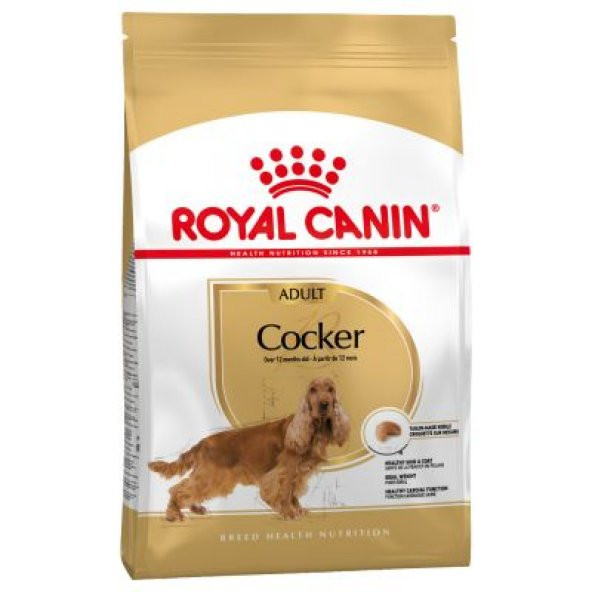 Royal canin cocker adult 3kg ırka özel yetişkin köpek maması