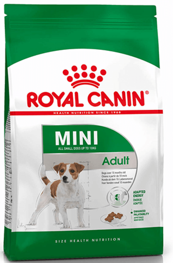 Royal canin mini adult 2kg yetişkin köpek maması
