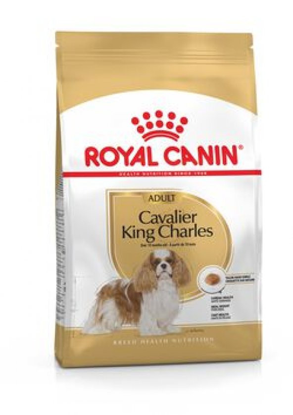Royal canin cavalier king charles adult 3 kg yetişkin köpek maması