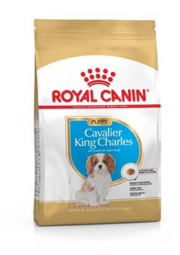 Royal canın 1,5kg cavalier king charles puppy junior yavru köpek maması