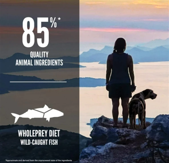 Orijen 6 Six Fish Tahılsız Balıklı Yetişkin Köpek Maması 2 Kg - Resim 3