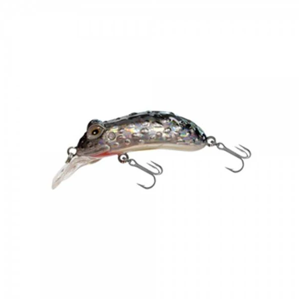 Japanese Chico HG2574 - Resim 2