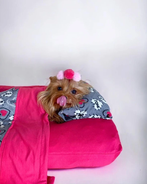 Pink Loves Köpek Uyku Takımı Minder Yastık Örtü Set - 2