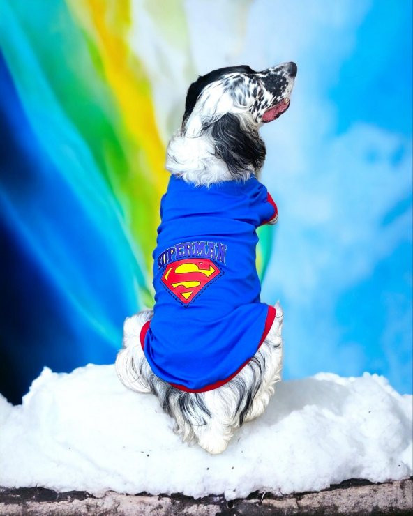 Superman Tişört Büyük Irk Köpekler İçin Dual Duo