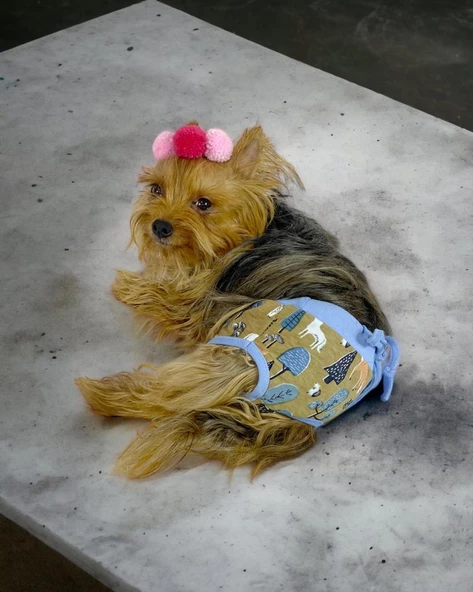 Forest Kemique's Secret Köpek İç Çamaşırı Regl Külot Don - 7