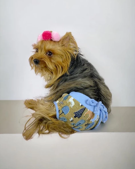 Forest Kemique's Secret Köpek İç Çamaşırı Regl Külot Don