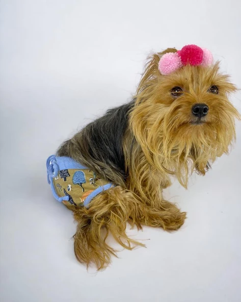 Forest Kemique's Secret Köpek İç Çamaşırı Regl Külot Don - 5