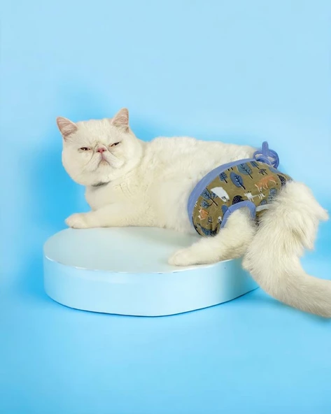 Forest Kemique's Secret Kedi İç Çamaşırı  Regl Külot  Don - 3