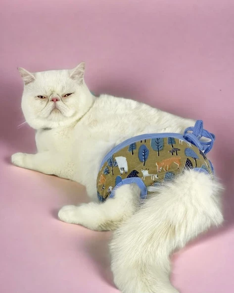 Forest Kemique's Secret Kedi İç Çamaşırı  Regl Külot  Don - 2