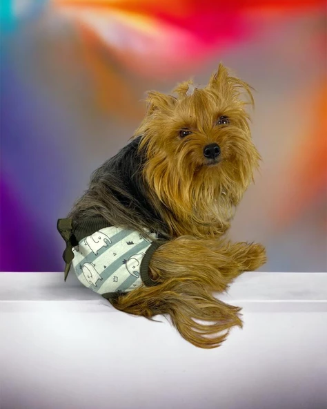 My Elephant Kemique's Secret Köpek İç Çamaşırı Regl Külot Don - 7