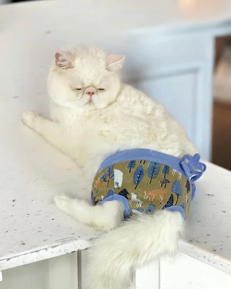 Forest Kemique's Secret Kedi İç Çamaşırı  Regl Külot  Don