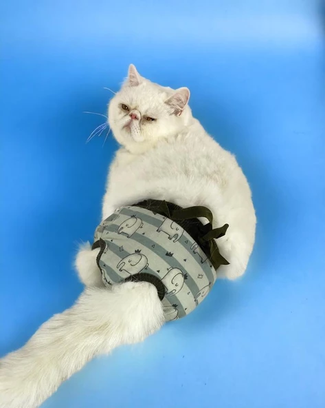 My Elephant Kemique's Secret Kedi İç Çamaşırı  Regl Külot  Don - Resim 2