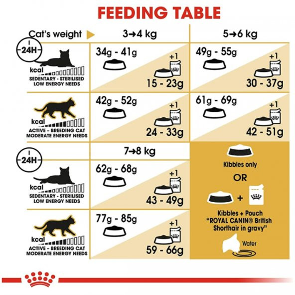 Royal Canin British Shorthair Yetişkin Kuru Kedi Maması 4 Kg - 5