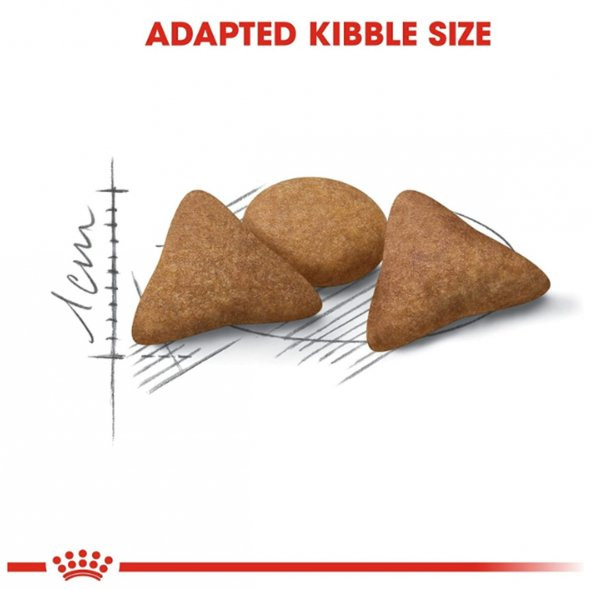 Royal Canin British Shorthair Yetişkin Kuru Kedi Maması 4 Kg - 6