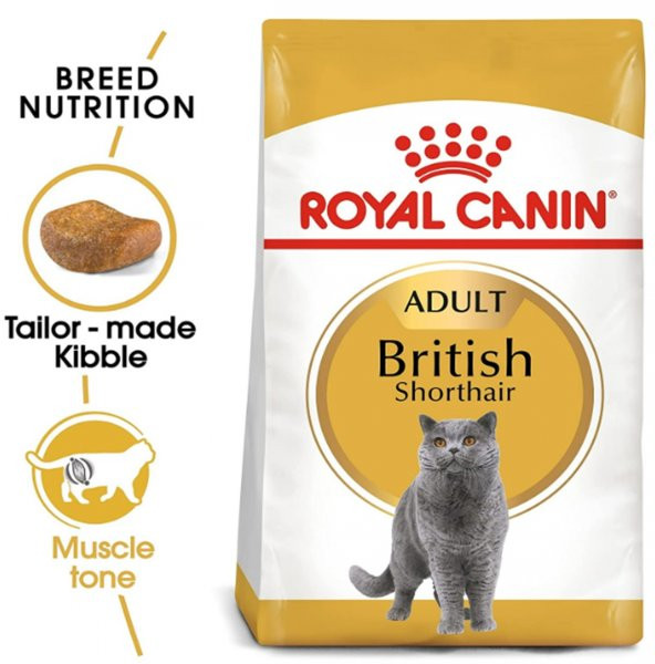 Royal Canin British Shorthair Yetişkin Kuru Kedi Maması 2 Kg - 2