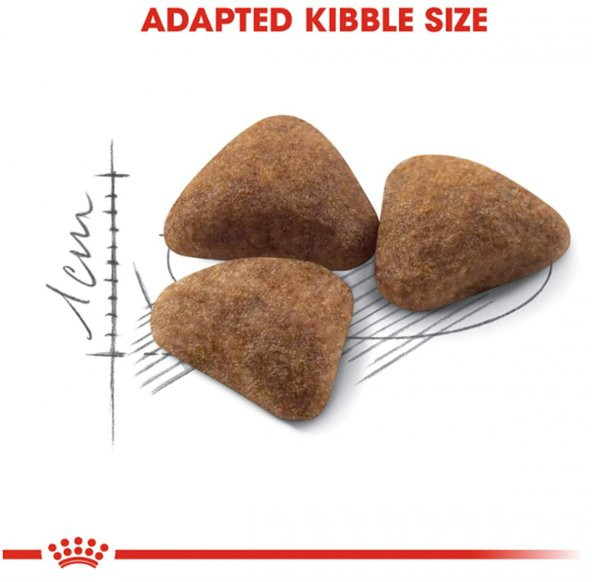 Royal Canin İndoor Evde Yaşayan Yetişkin Kedi Maması 2 Kg - 5