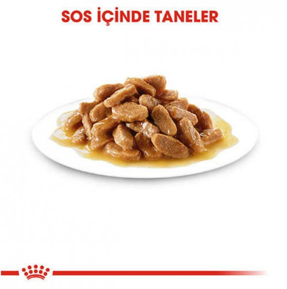 Royal Canin Mini Puppy Pouch Yavru KöpekKonservesi 12x85 Gr - 4