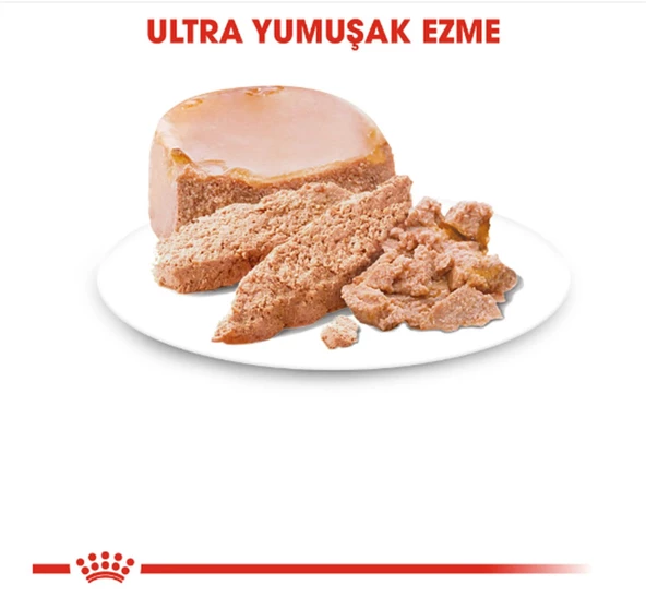 Royal Canin Starter Mousse Yavru Köpek Konservesi 195 Gr - Resim 3